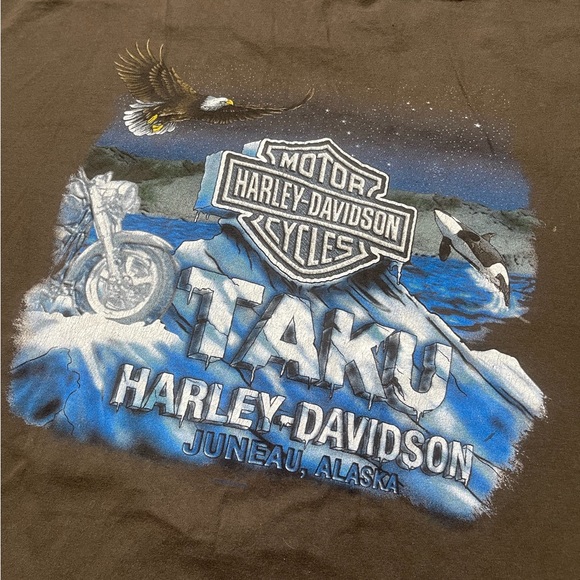 Vintage Y2K Harley Davidson T Shirt Size XXL Brown Juneau Alaska Eagle - Picture 2 of 5